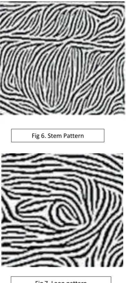 Fig 7. Loop pattern 