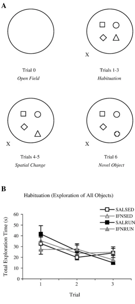 Figure 1 Neither IFN-α nor exercise affects habituation in the OE task 