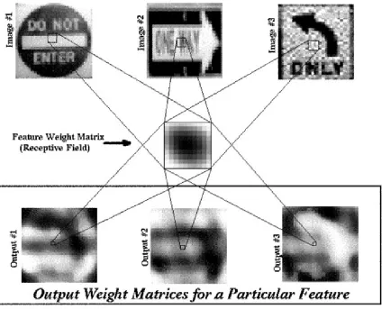 Figure 2.6: Output weight matrices enable output neurons to interpret the mapping of afeature as it is convolved with its region of the input data space.