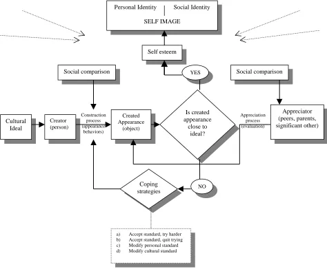 Figure 2-7. Model of the effects of social comparison on the construction andevaluation of appearance (Rudd & Lennon, 1994)