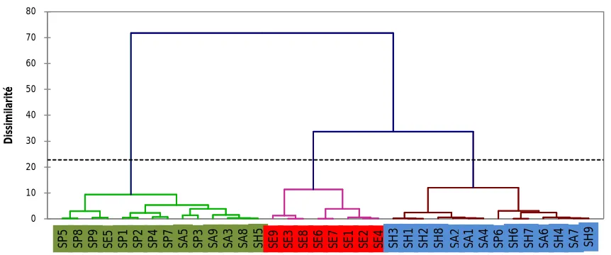 Fig. 4 Hierarchical tree obtained by the HAC. Class 1 in blue, class 2 in green, and class 3 in red 