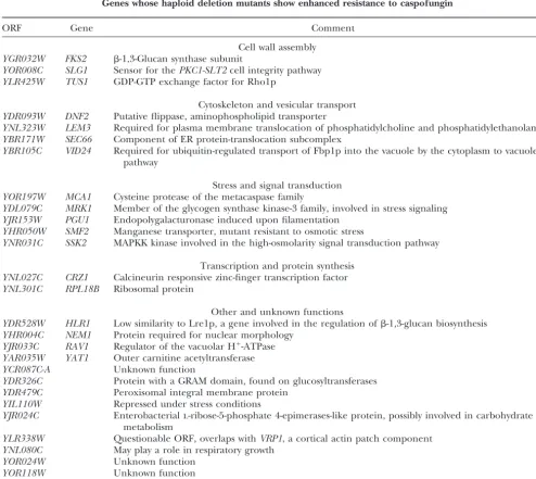 TABLE 4