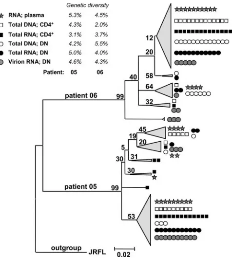 FIG. 6. Uniform distribution of HIV-1 env(DN [double negative]; total RNA, vRNAex, and total DNA)