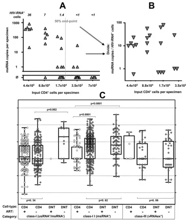 FIG. 4. Speciﬁc HIV contents per cell of CD4�exercised by measurements of msRNA (class II expression) in CD4with detectable msRNA (triangles)