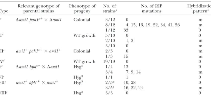 TABLE 3