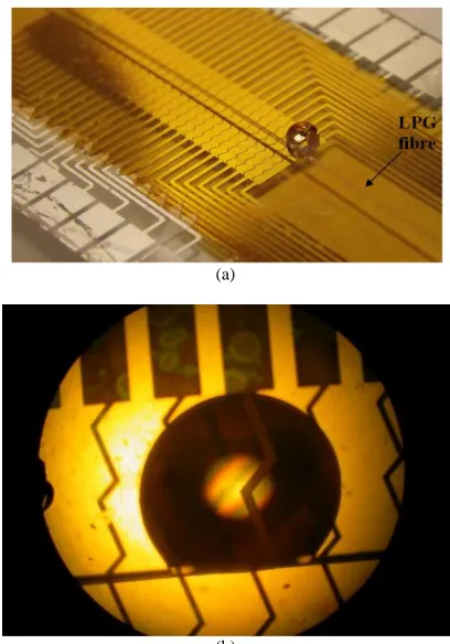 Fig. 2  Illustration of electrowetting on dielectric (EWOD) platform with mounted LPG  