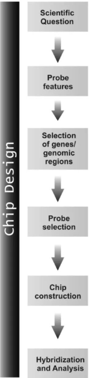Figure 1. Steps comprised on chip design.