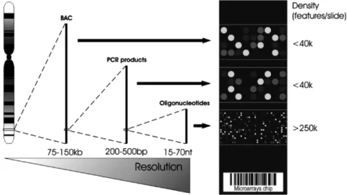 Figure 2. Array density and length of different DNA probes. Bacterial artificial chromosome (BAC) clones can represent large spans of genomic DNA at the expense of low-tiling resolution