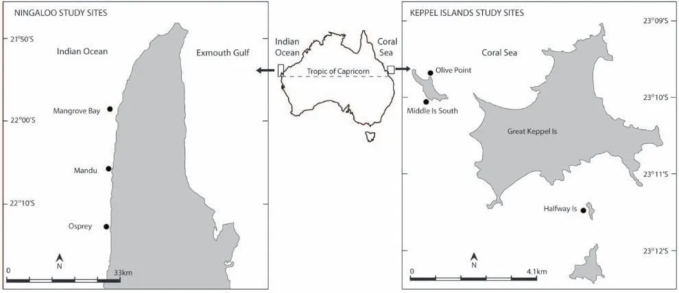 Figure 1. Map of the two study regions, the Keppel Islands in the southern Great Barrier Reef and Ningaloo Reef, showing thelocation of the study sites.doi:10.1371/journal.pone.0045543.g001