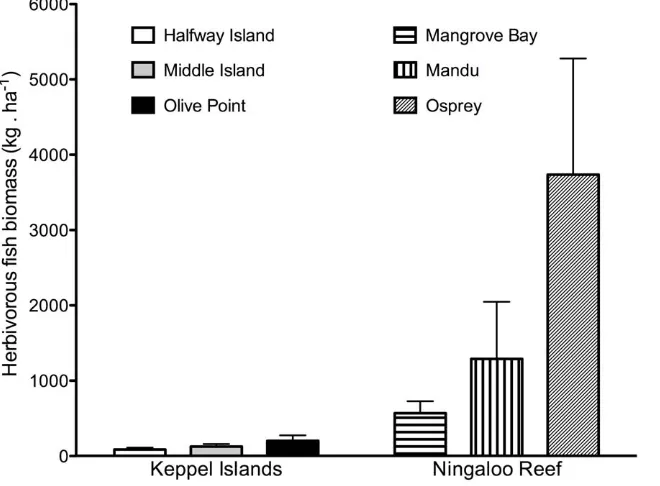 Figure 5. Variation between regions and locations in total roving herbivorous fish biomass (n = 6)