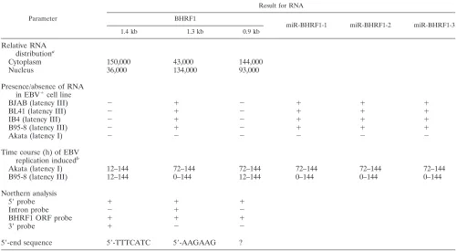 TABLE 2. BHRF1 RNAs in EBV-infected cells