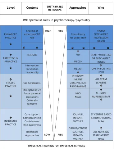 Fig. 4 Infant Mental Health Training Framework  
