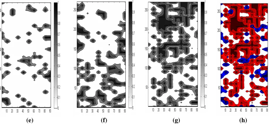 FIGURE 11  Bridge.  Left to right: the maximum reflectance in the “delamination zone” slice (0.07m~0.13m) (a)(e),  (0.3m~1m)(c)(g)