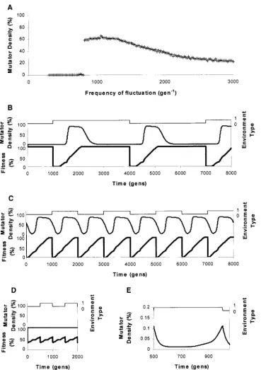 Figure 1.—Effect of varying thefrequency of environmental ﬂuc-tuation on mutator density