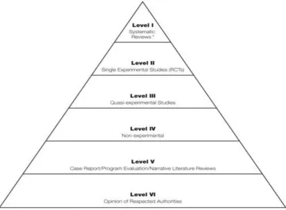 Figure 1. Levels of quantitative evidence 