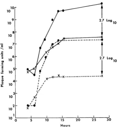 Figure 2virusinfected shows the effect of incubating doubly cultures at 42 C. In this experiment, T was adsorbed to cells at room temperature