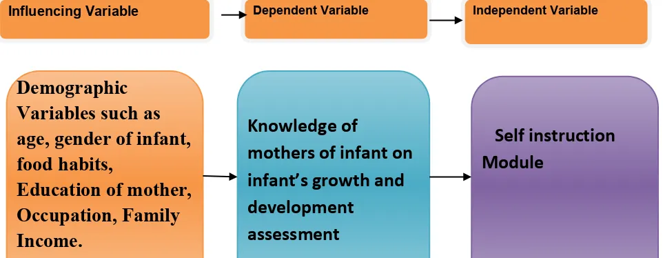 Figure.2 The schematic representation of the research design