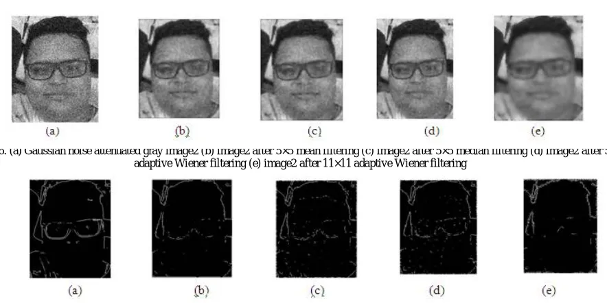 Fig. 6. (a) Gaussian noise attenuated gray image2 (b) image2 after 5×5 mean filtering (c) image2 after 5×5 median filtering (d) image2 after 5×5  