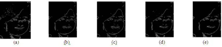 Fig. 12. (a) Poisson noise attenuated gray image1 (b) image1 after 5×5 mean filtering (c) image1 after 5×5 median filtering (d) image1 after 5×5 adaptive Wiener filtering (e) image1 after 11×11 adaptive Wiener filtering  