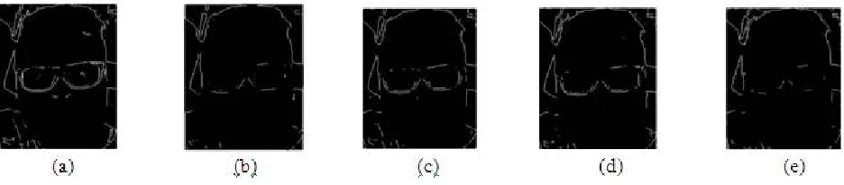 Fig. 14. (a) Poisson noise attenuated gray image2 (b) image2 after 5×5 mean filtering (c) image2 after 5×5 median filtering (d) image2 after 5×5 adaptive Wiener filtering (e) image2 after 11×11 adaptive Wiener filtering 