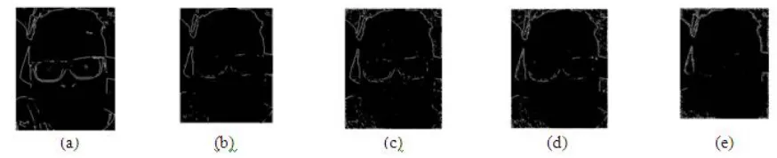 Fig. 18. (a) Speckle noise attenuated gray image2 (b) image2 after 5×5 mean filtering (c) image2 after 5×5 median filtering (d) image2 after 5×5 adaptive Wiener filtering (e) image2 after 11×11 adaptive Wiener filtering 