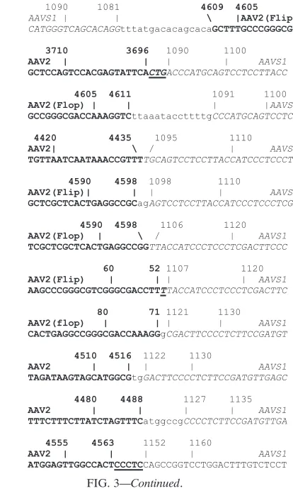 FIG. 3—Continued.
