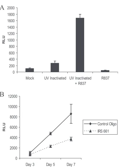 FIG. 3. EBV-mediated stimulation of TLR7 enhances B-cell pro-liferation. (A) Naive B cells were incubated with UV-inactivated virus