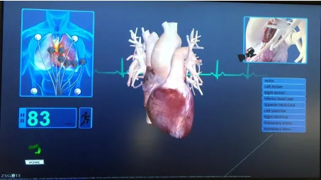 Figure 5.  A user interacting with the heart in zExperience® on zSpace® (Hite, 2016e)