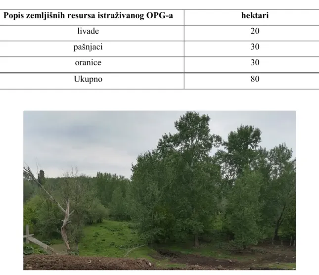 Tablica 8. Popis zemljišnih resursa istraživanog OPG-a 