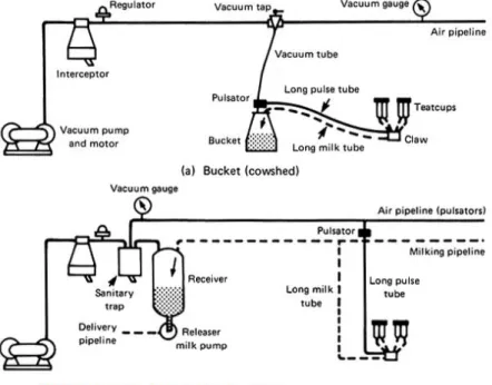 Figure 3. Principal layouts of milking machine installations: (a) Bucket (cowshed)  milker  with  milk  collected  into  a  bucket  placed  next  to  the  cow  in  the  shed;  (b) 