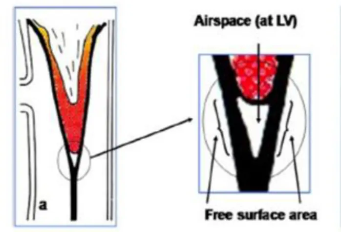 Figure 4. Teat in the closed liner with the magnification of the teat tip with the air  space beneath it (adapted from Mein et al., 2013)