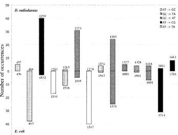 Figure 3.—Comparison of relativemutation frequencies in rpoB in D.