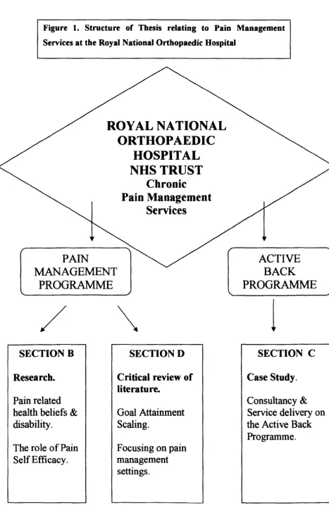 Figure 1. Structure of Thesis relating to Pain Management 