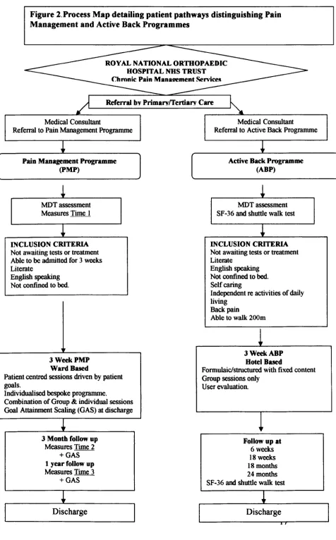 Figure 2.Process Map detailing patient pathways distinguishing Pain Management and Active Back Programmes 