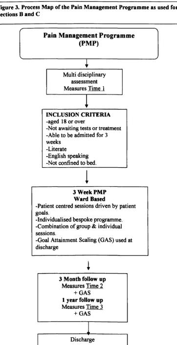 Figure 3. Process Map of the Pain Management Programme as used for Sections Band C 