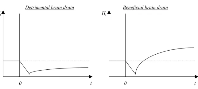 Figure 4. The dynamic impact of brain drain