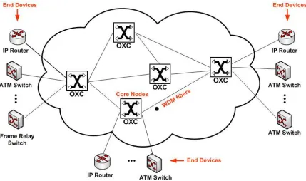 Figure 1.2: OBS Network Architecture