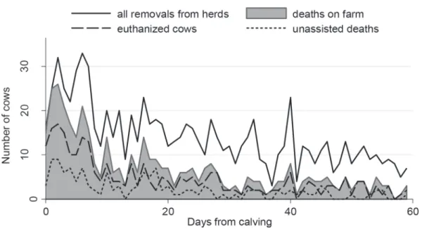 Figure 1. The number of culled cows per days from calving and the means of their removal from the herd