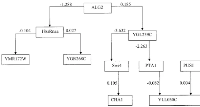 Figure 2.—The fully connected geneticthe 129 fully connected genetic networkswith 10 genes for yeast cell cycle gene ex-network with the smallest AIC value (AIC ��64.02, ﬁtting probability � 1.0000) amongpression data.