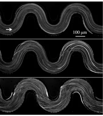 Figure 1: Illustration of the onset of an elastic instability from instantaneous