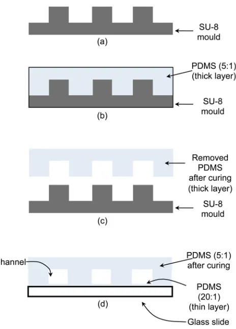Figure 3: PDMS device fabrication procedure. (a) Cross-section of the SU-8