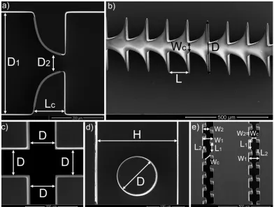 Figure 4: Scanning Electron Microscopy images of the ﬁve planar micro-