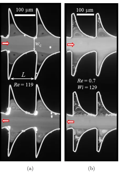 Figure 7:(a) Newtonian ﬂuid ﬂow patterns in a hyperbolic diode withAdapted from Sousa et al