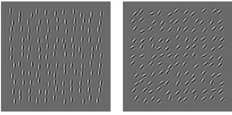 Figure 1. Example of stimuli used in the variance discriminationexperiment. The observer’s task was to report which of the twoimages, which were presented successively, had the highervariability in orientation