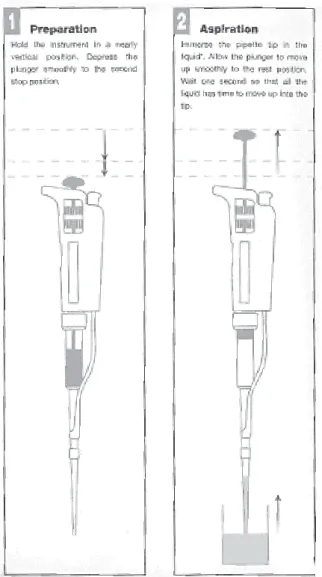 Figure 2  Different steps involved in reverse mode pipetting