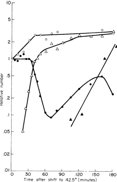 FIG. 2.5bymicroscopedetermineantiserumcontainingdium.treatedLT(@). min, diluting Thermal induction ofprophage P22 ts mit