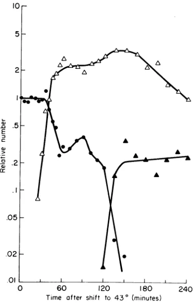 FIG. 3.presentFig.chromosome.(@); Thermal induction ofprophage P22 ts mnt at a secondary attachment site on the LT 2 The experimenit was run as described for 1