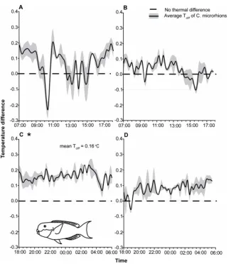 Figure 1. Temperature difference profiles of Chlorurus microrhinosambient* Indicates significance at 0.01.n = 3), over a 24-hour period