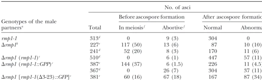 TABLE 4