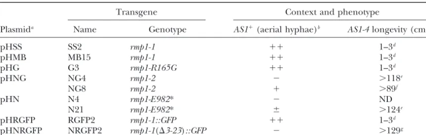 TABLE 2